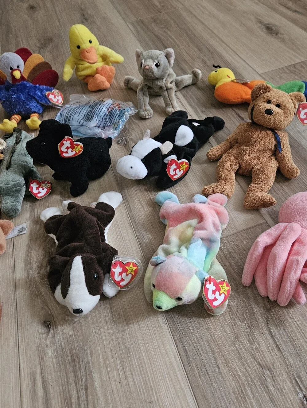 Lot Of 17 Ty Beanie Babies Small Pet Plush Lot Beanie Baby Lot Huge Haul